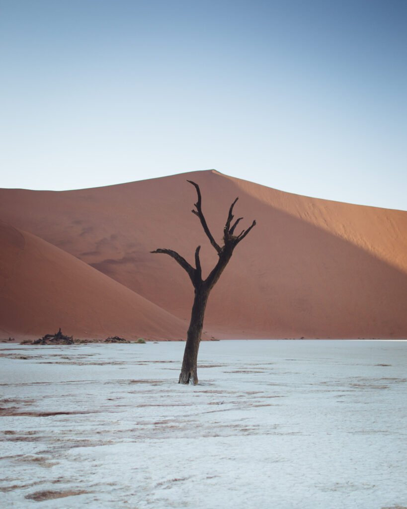 Deadvlei, Namibia