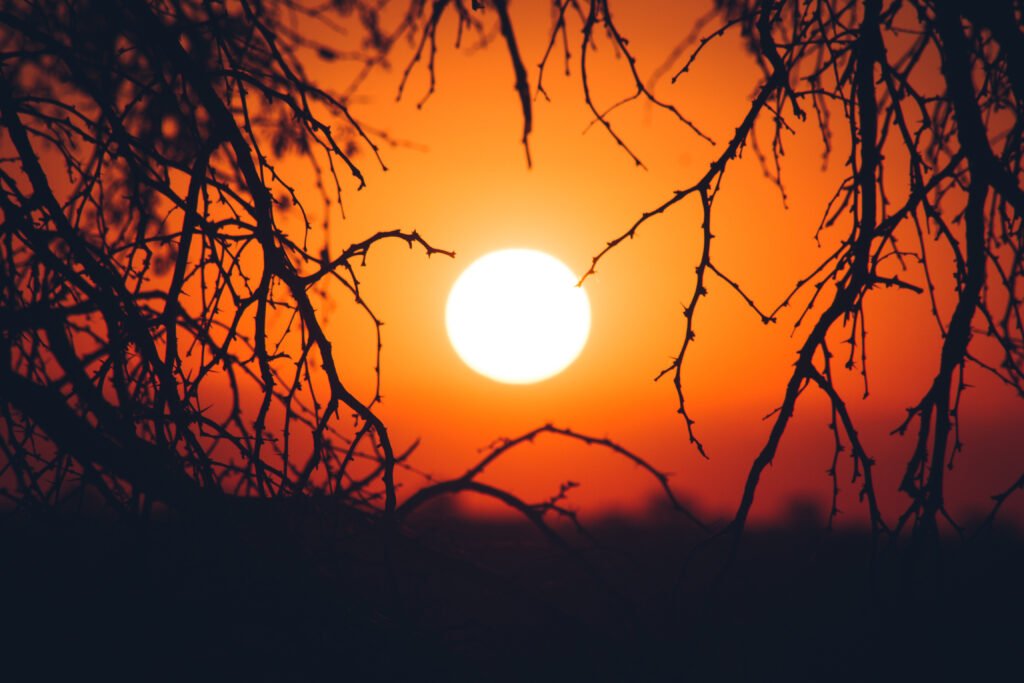 Hakuna Matata – Kalahari Anib, Namibia