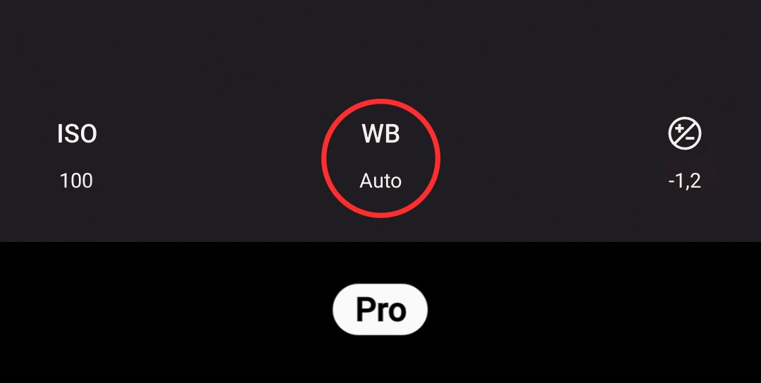 WB