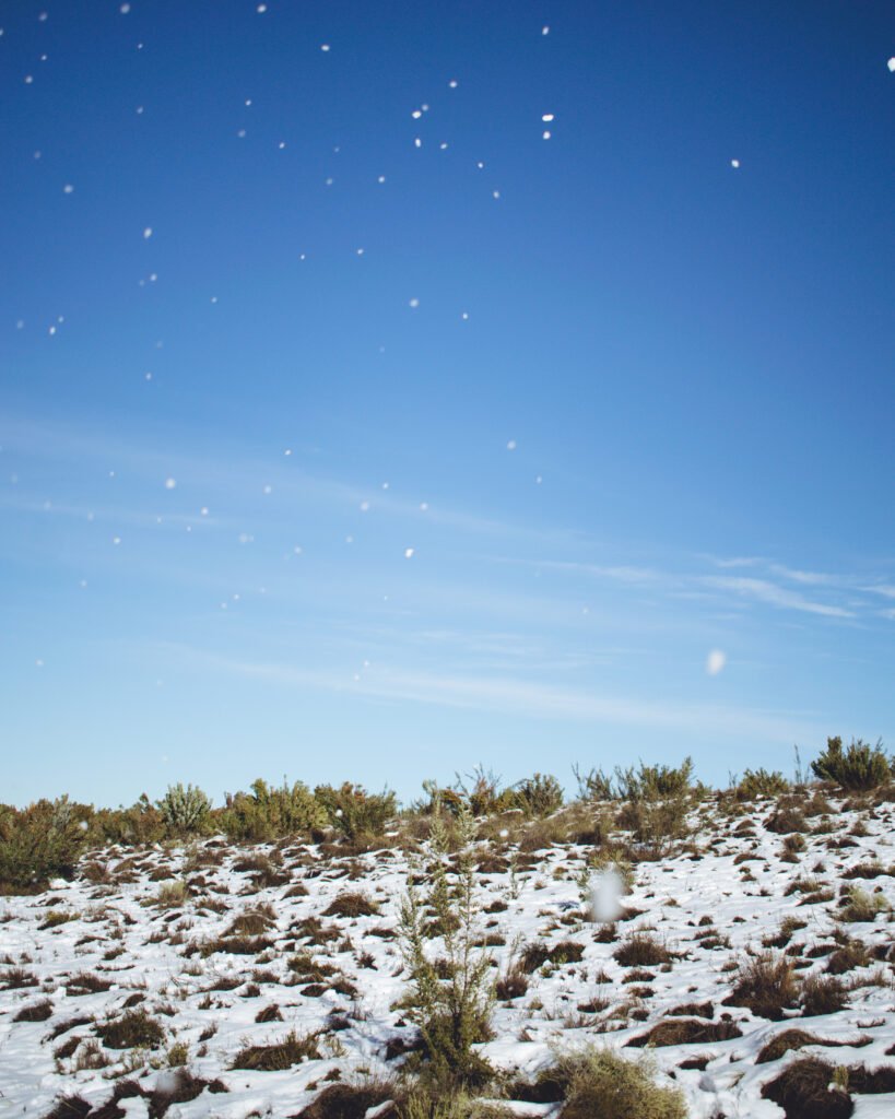 Snow – Matroosberg, South Africa