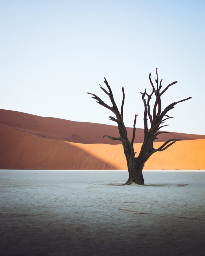 Deadvlei, Namibia