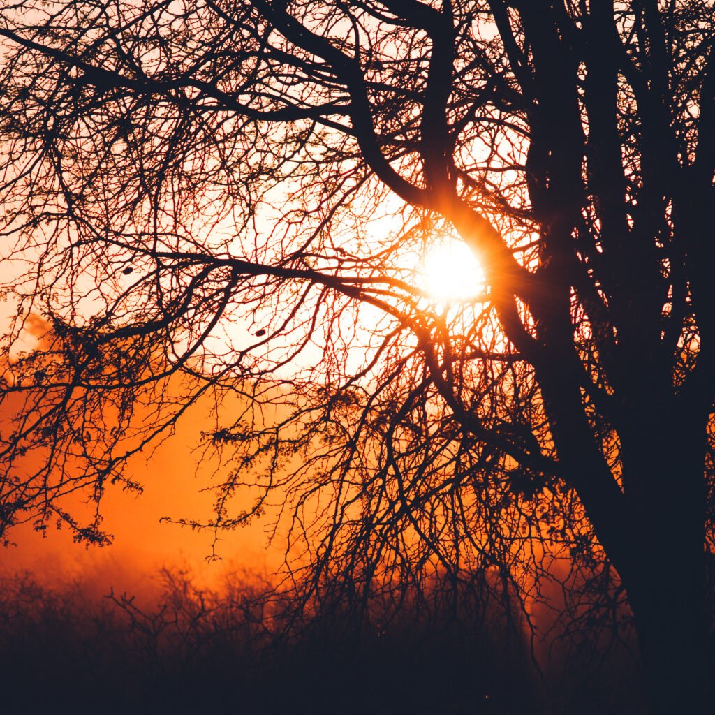 Sunset – Kalahari Anib, Namibia