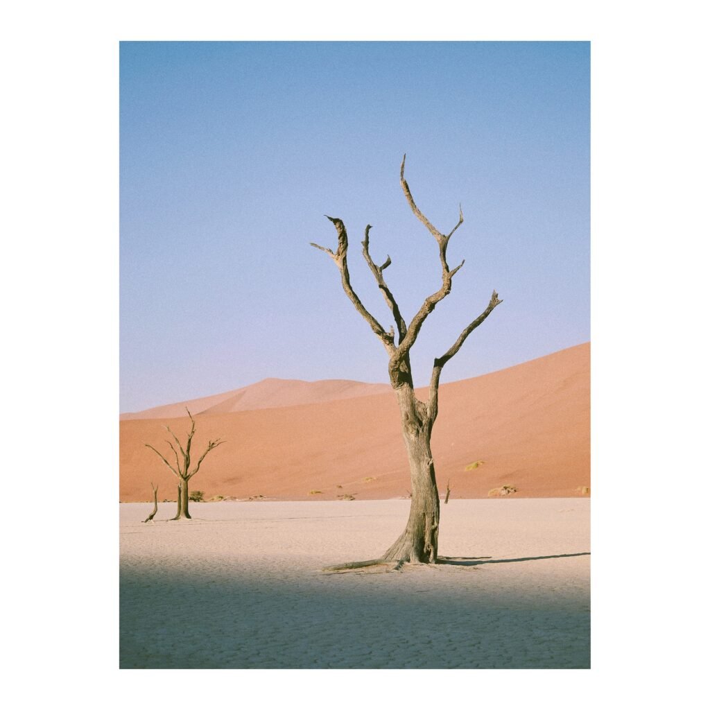 Deadvlei, Namibia