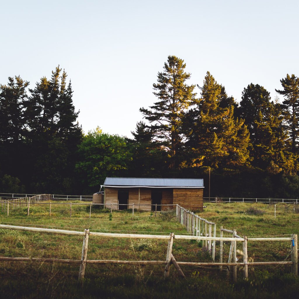Stable – South Africa
