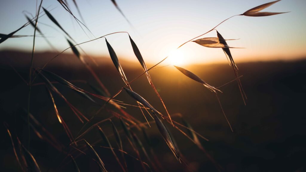 Sunset – South Africa