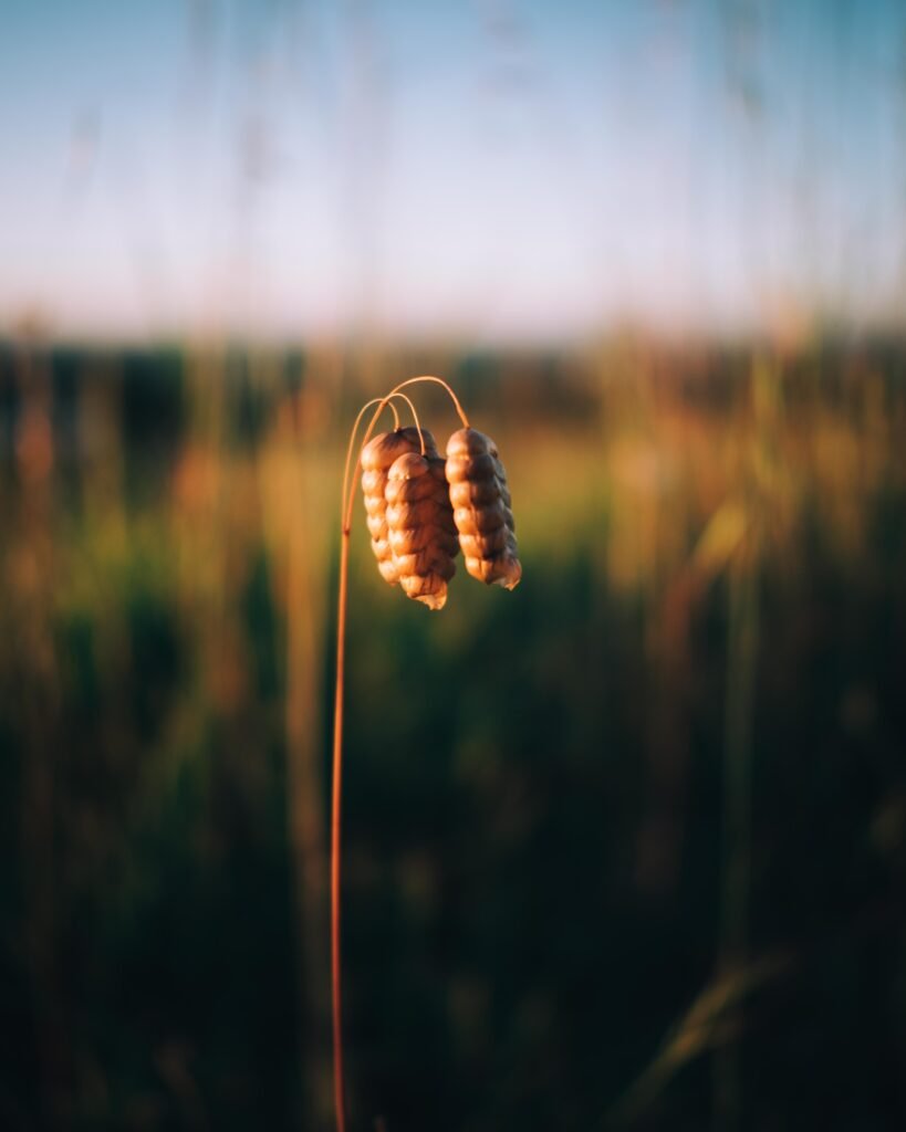 The small things