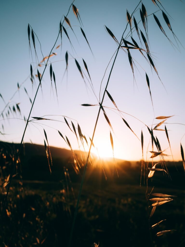 Soft light