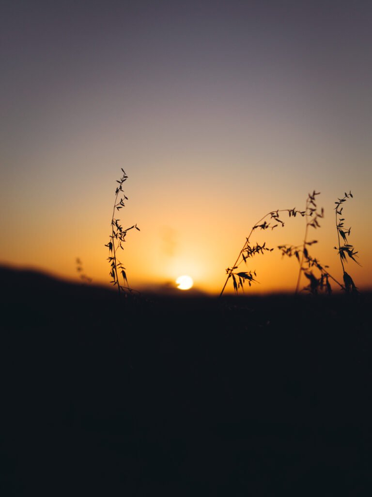Sunset – South Africa