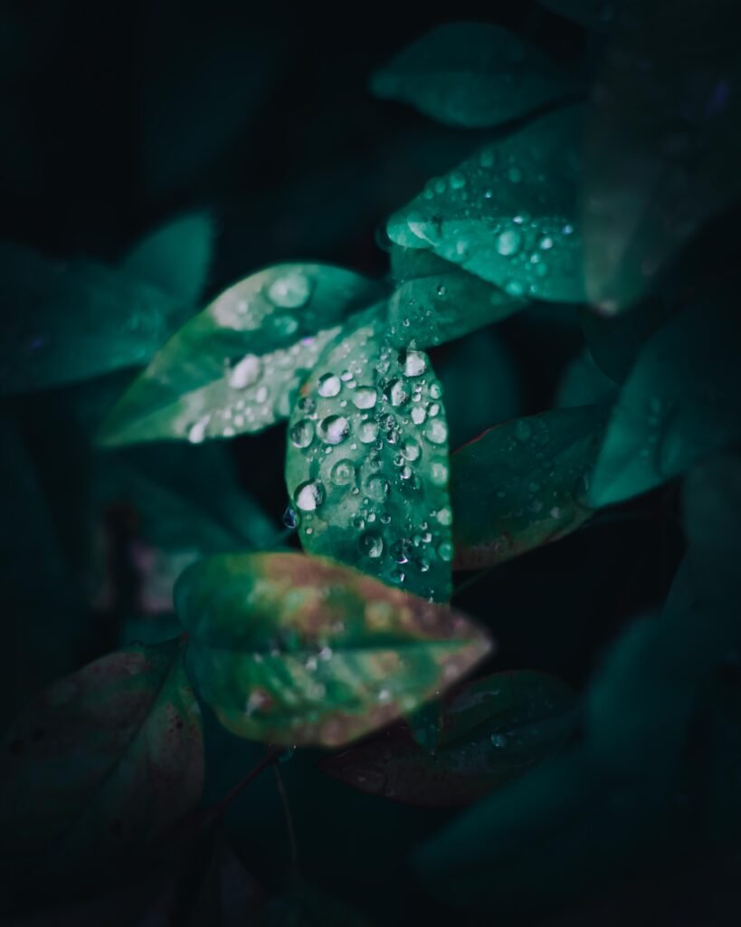 Droplets