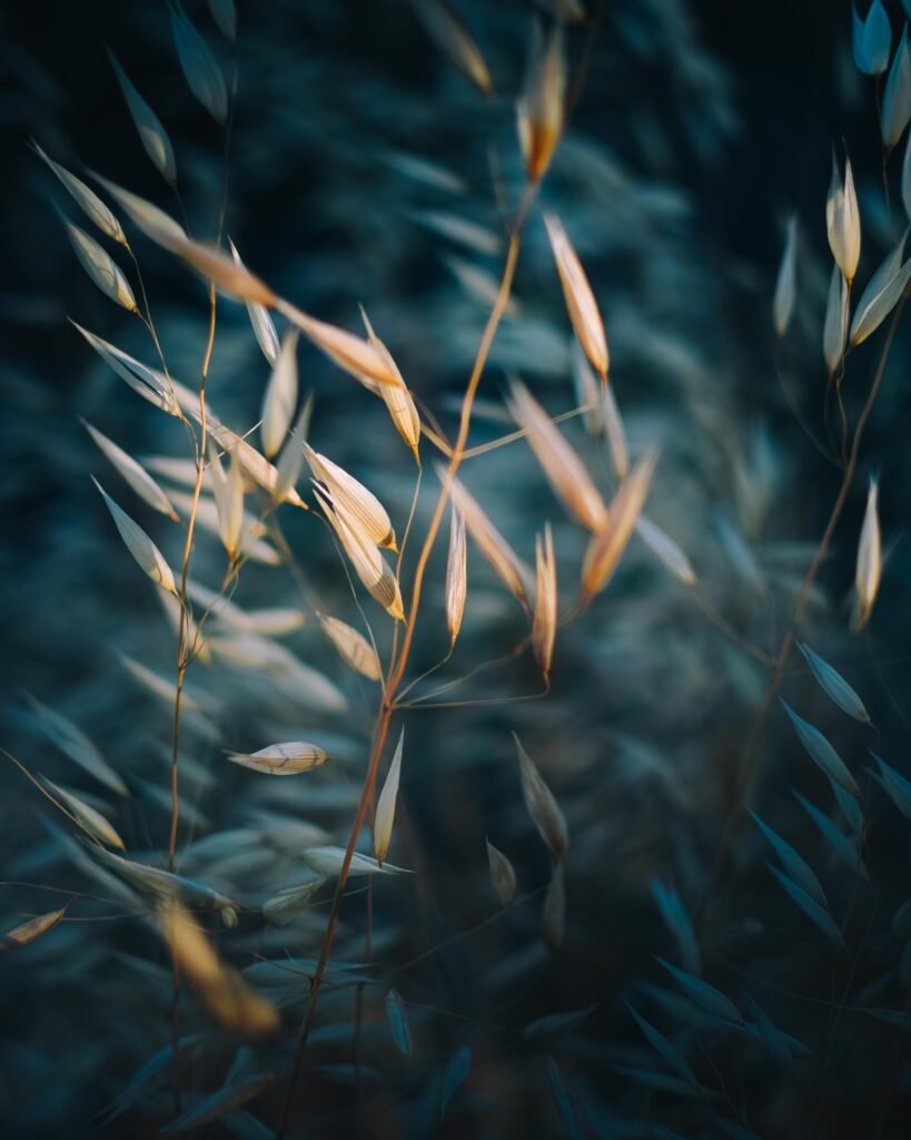 Blowing in the wind