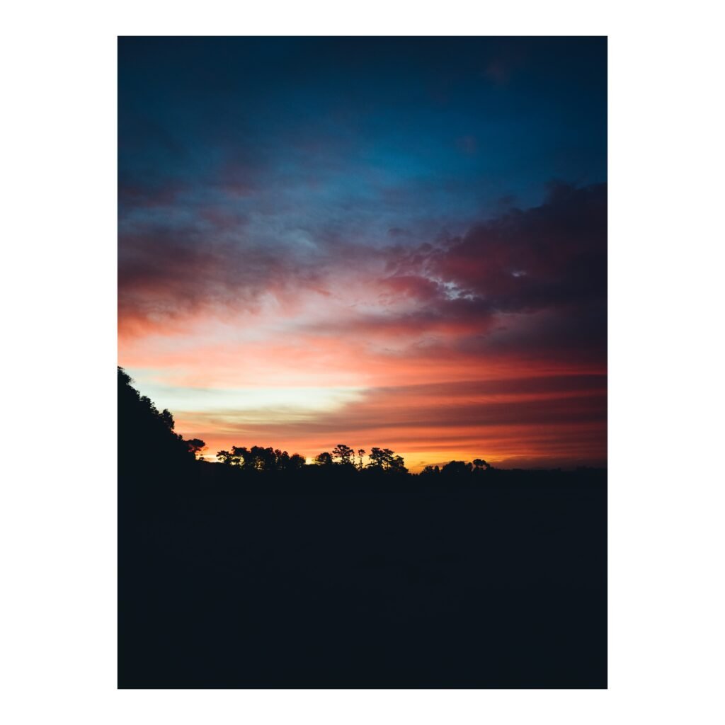 Rise Again