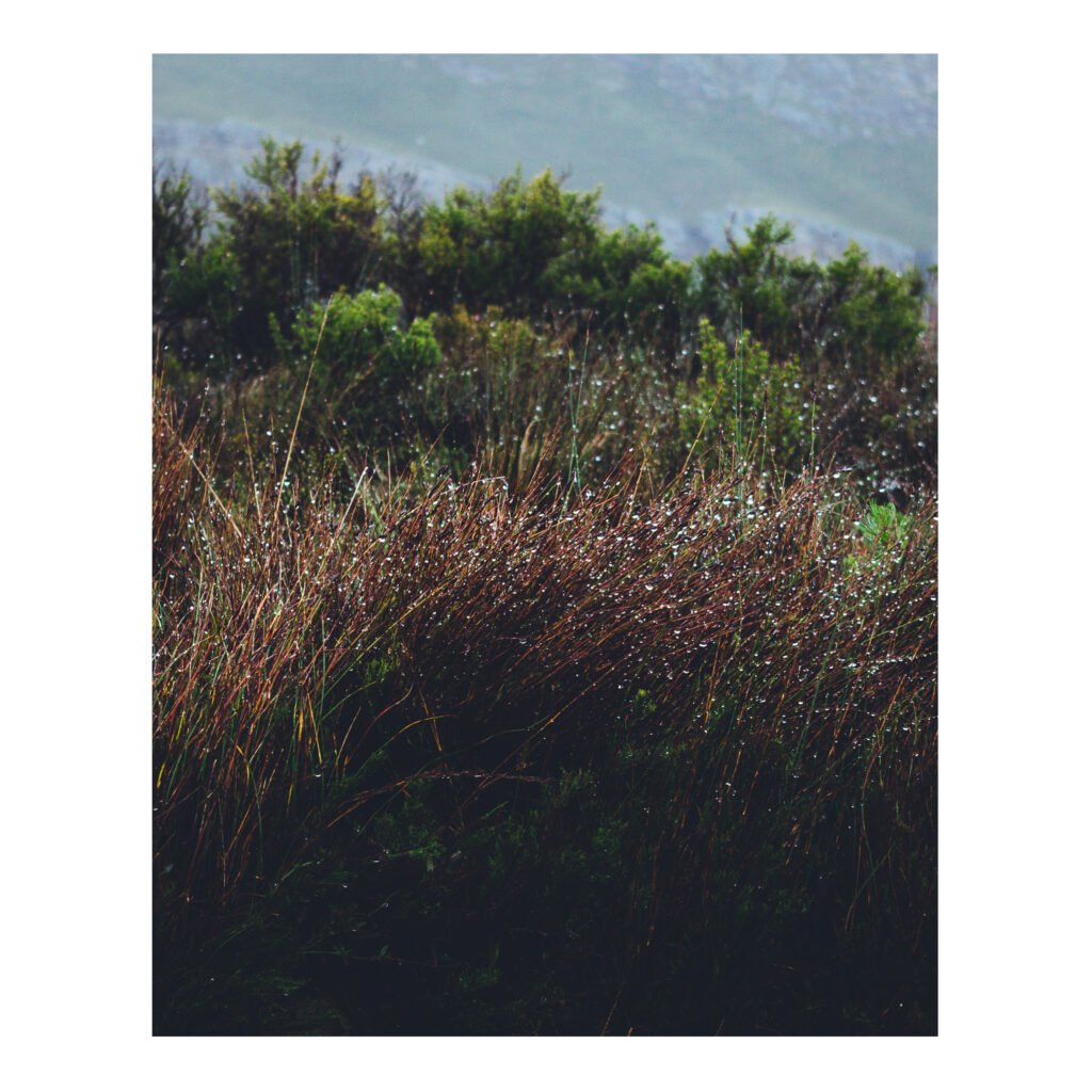 Droplets