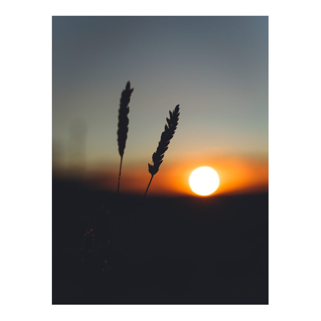 Simple sunsets