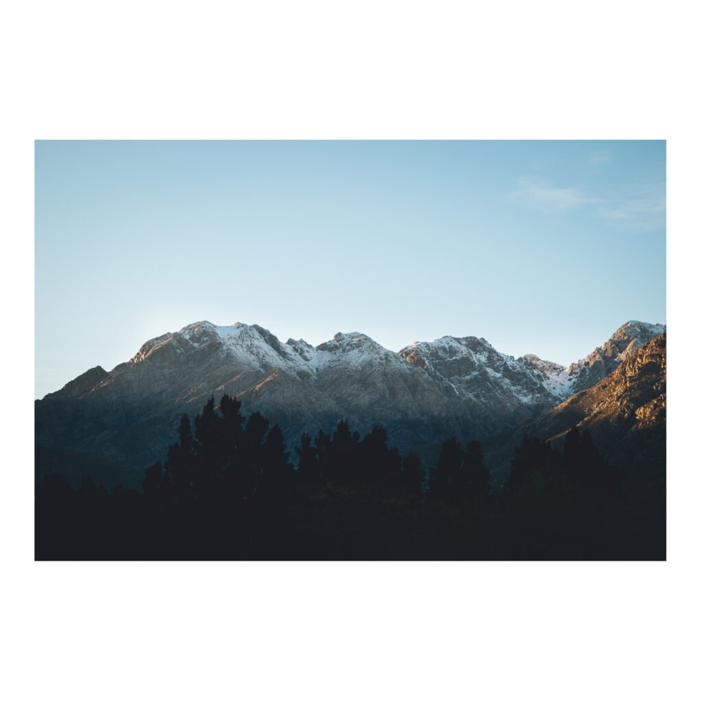 Morning light