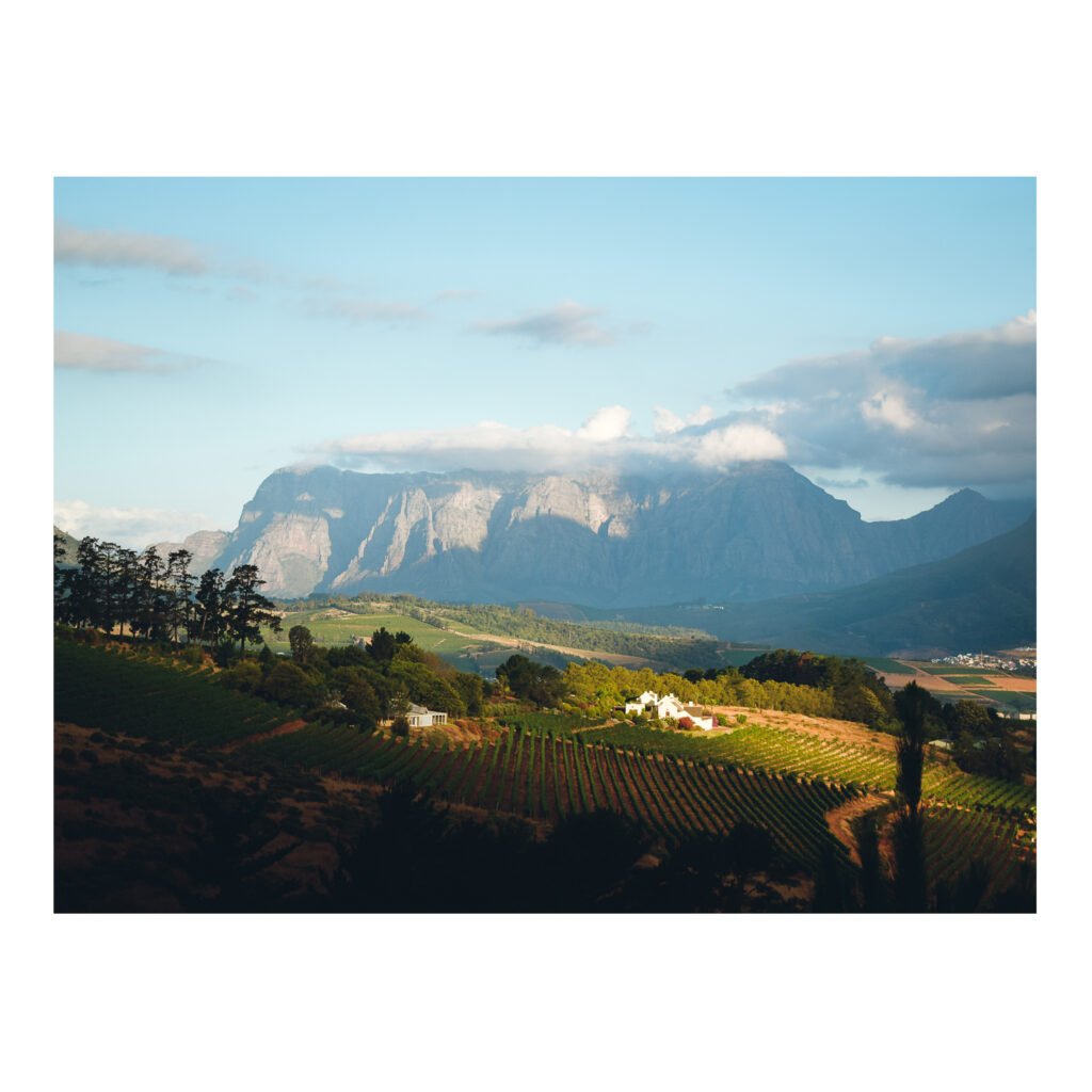 Evening light