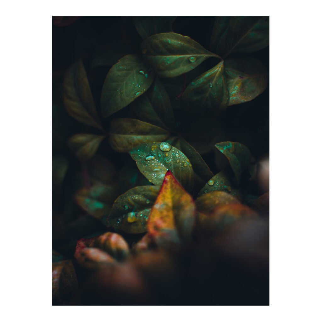 Droplets
