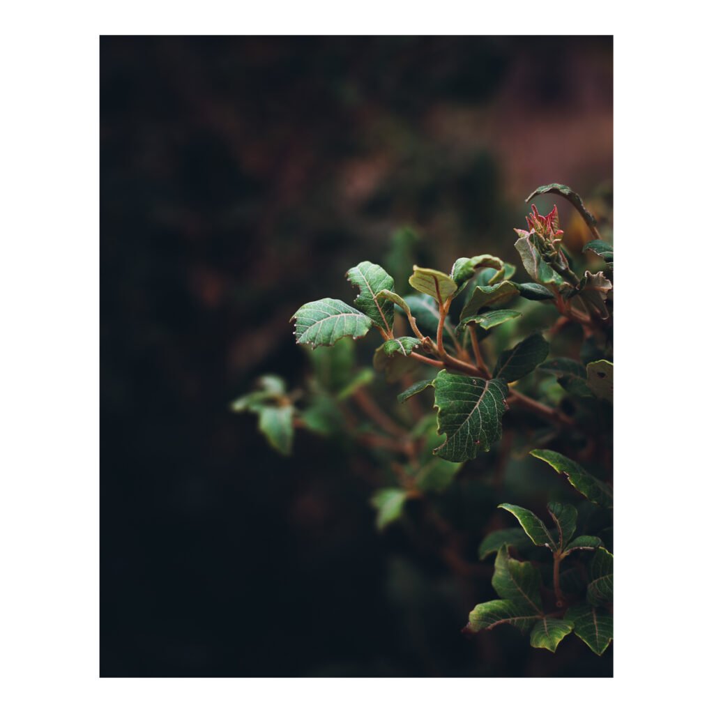 The simple things