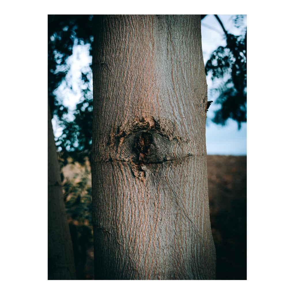 Always watching