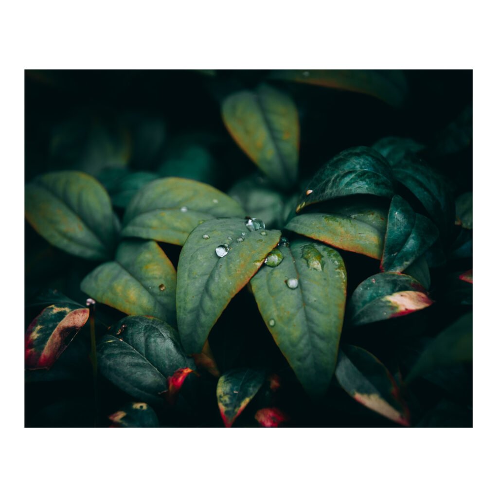Droplets