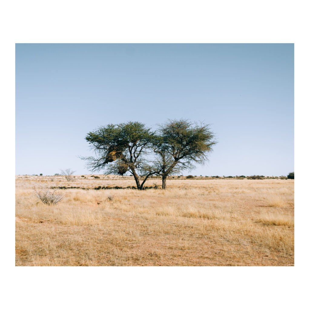 Kalahari & coffee