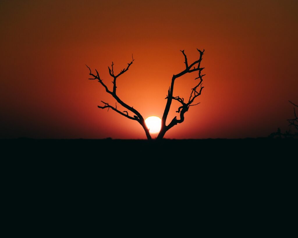 Kalahari sunset