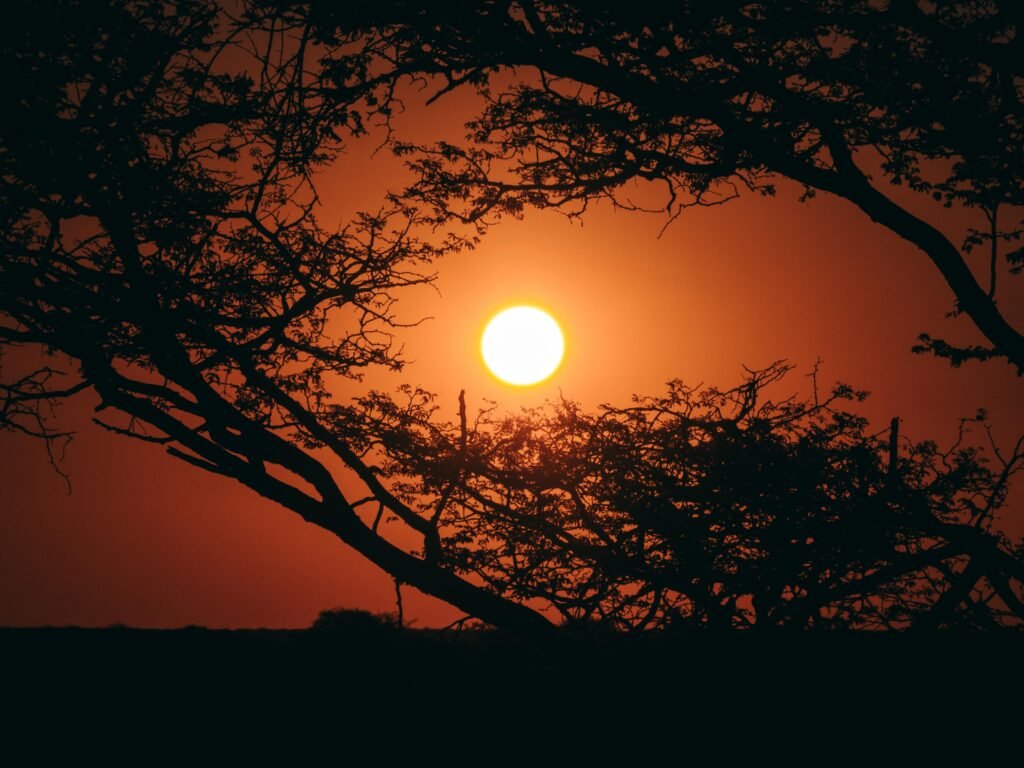 Kalahari sunset