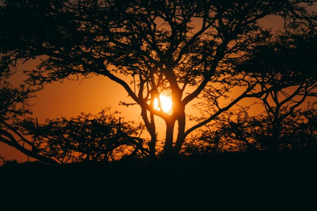 Kalahari sunset