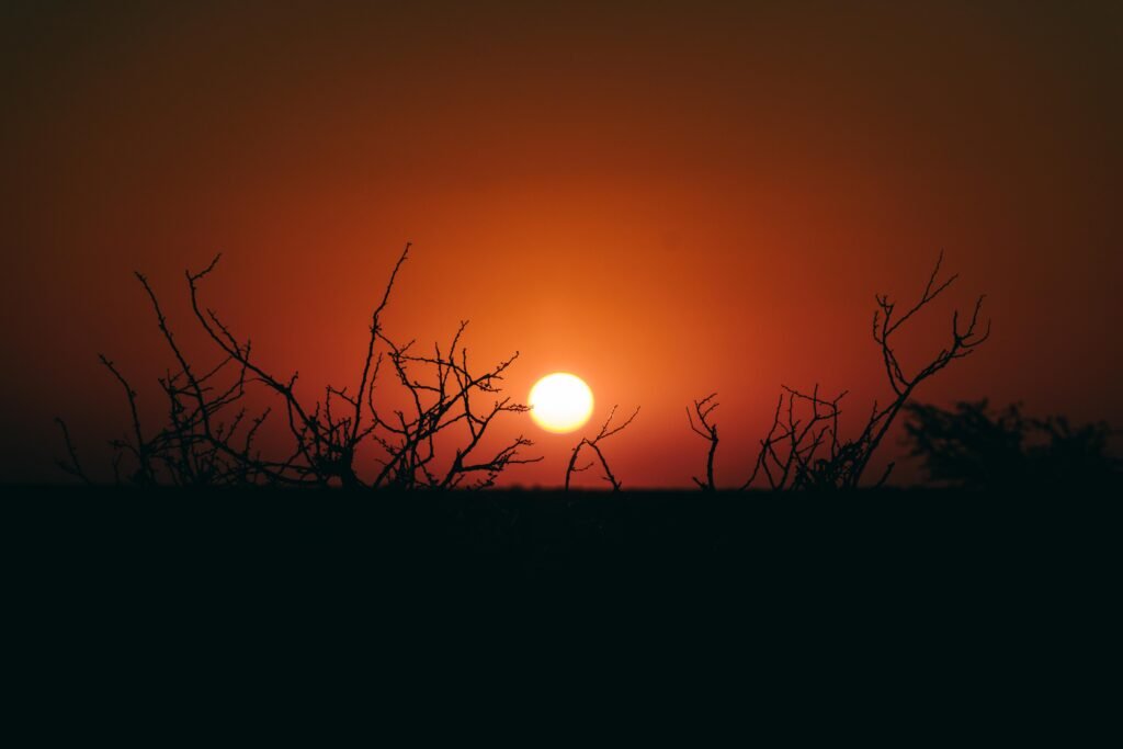 Kalahari sunset