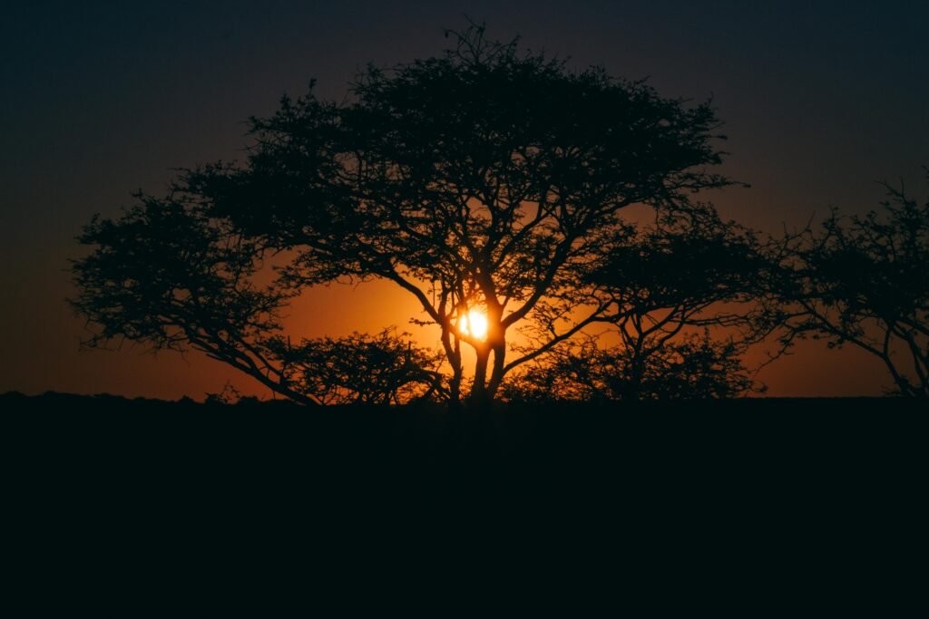 Kalahari sunset