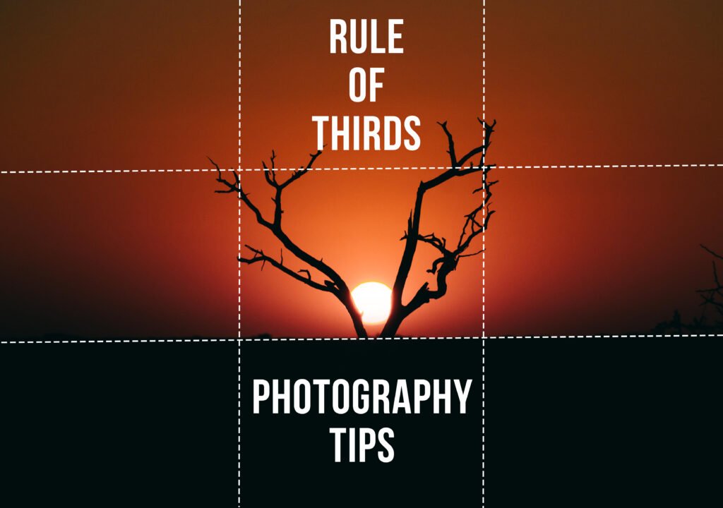 Rule of Thirds in Photography: What It Is and How to Use It