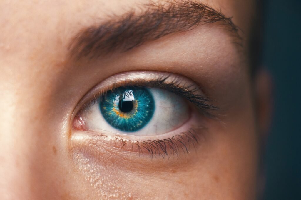 How to Build a Visual Library: A Creative Exercise for Artists and Photographers