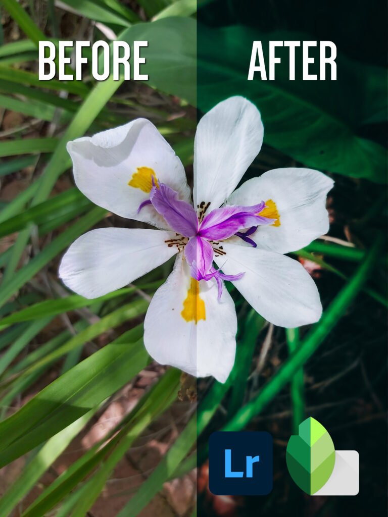 How to Edit Photos on Your Phone to Look Professional