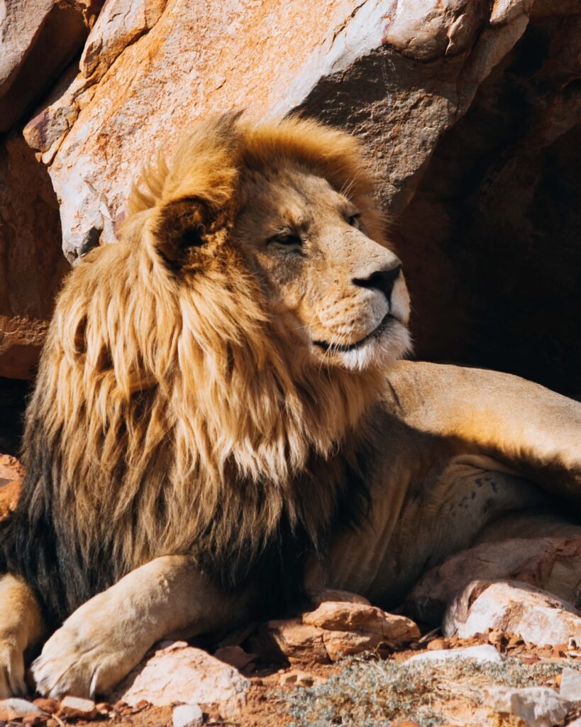 Pride