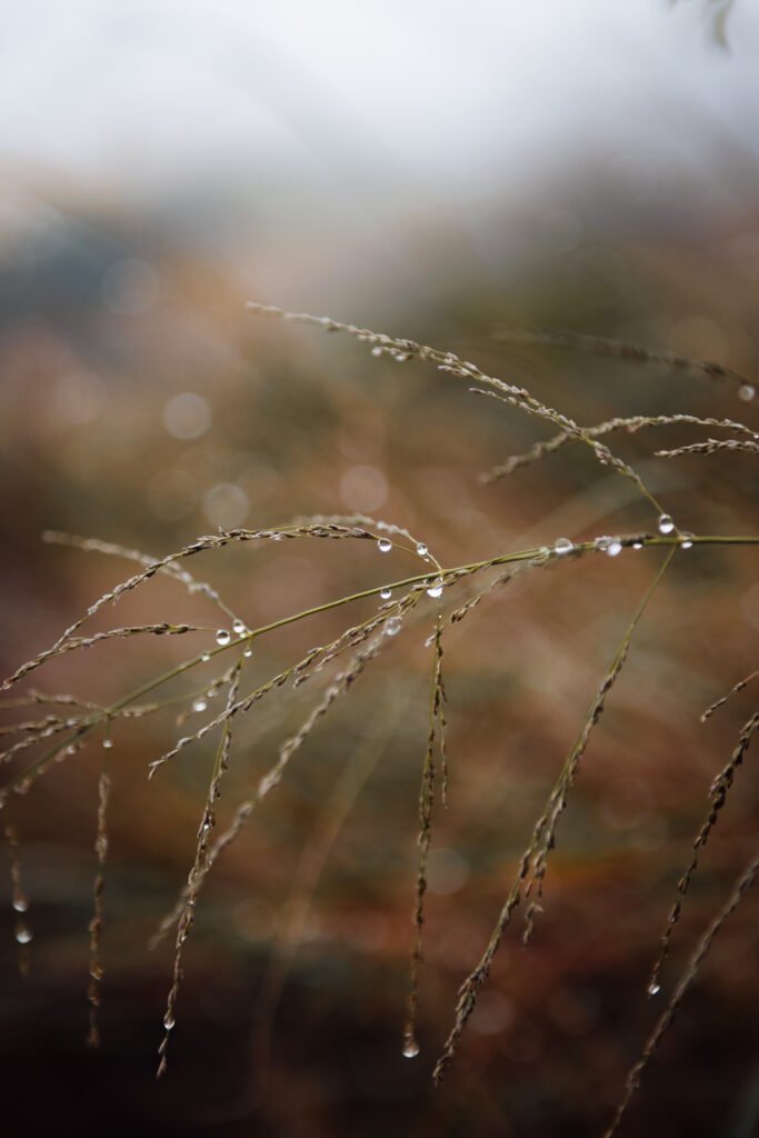 Droplets