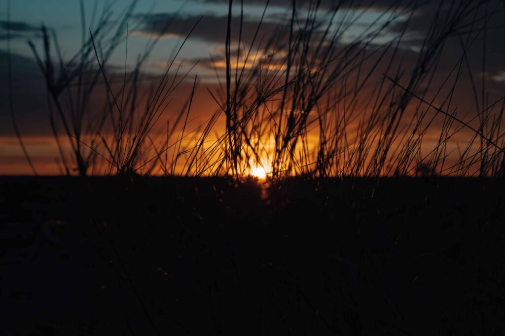 Namibia Sunset