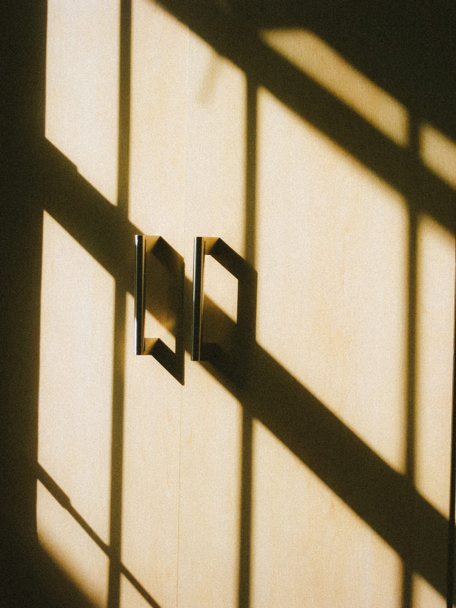 Sunlight
