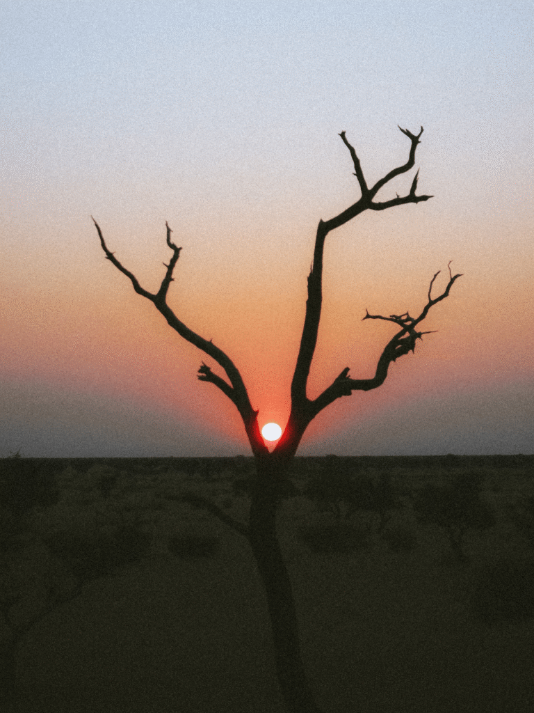 What Is a Micro Adventure? How to Have One This Weekend